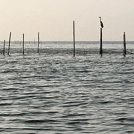 In With Swimming Pool